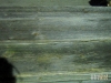 reclaimed-barn-siding-gray-08