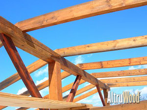dead-standing-beams