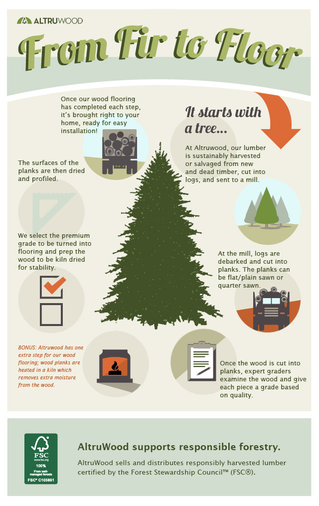 Altruwood infographic From Fir to Floor: The AltruWood Way